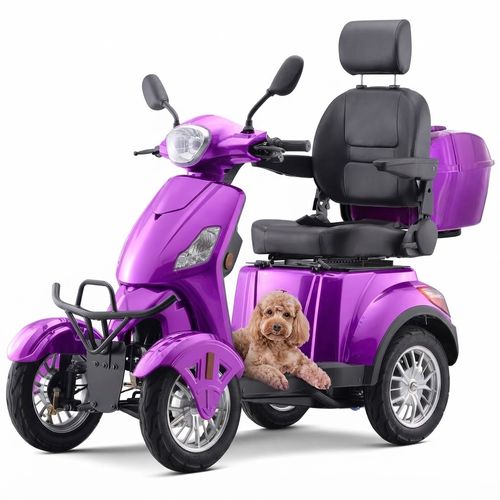 Heavy-Duty 800W Scooter